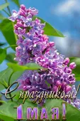  Гифка на 1-е мая