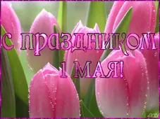  Гифка на 1-е мая