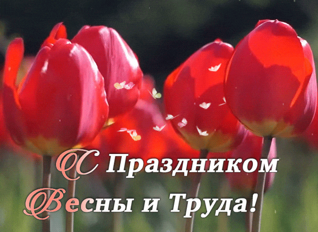  Гифка на 1-е мая