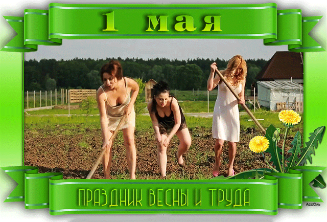  Гифка на 1-е мая