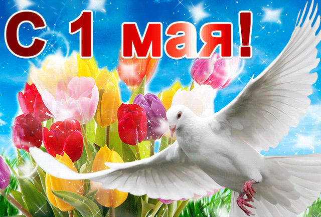  Гифка на 1-е мая