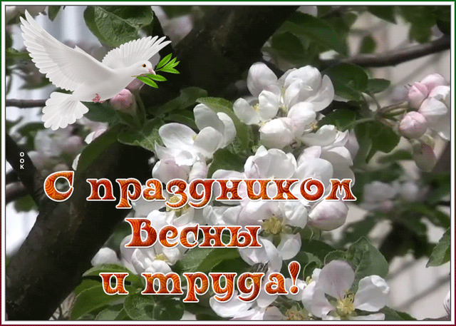  Гифка на 1-е мая