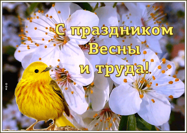  Гифка на 1-е мая