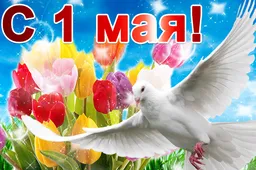  Гифка на 1-е мая