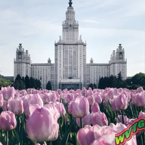 Москва Очаково-Матвеевское