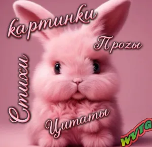 🩷★ツКАРТИНКИ★ツСТИХИ★ツЦИТАТЫ★ツПРО ЗЫ★ツ🩷