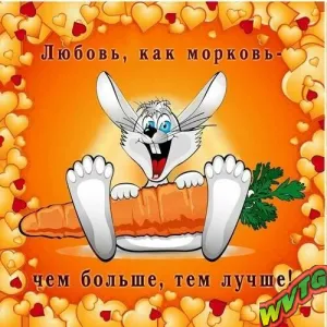 ❤️🥕⃟‌⃟ ࿐Люδ᧐ʙь ʍ᧐ρκ᧐ʙь🥕⃟‌⃟ ࿐❤️